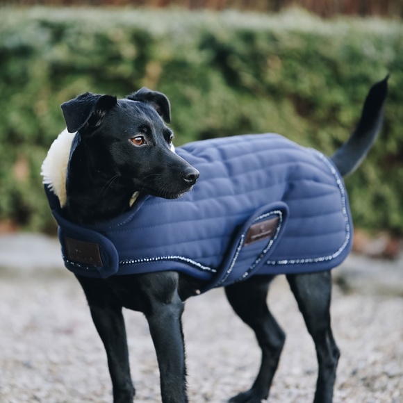 Kentucky Dog Nwt Kentucky Blue Dog Coat With Sheepskin Size Xs